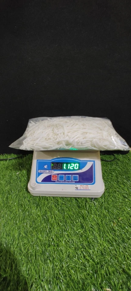 dentalium shells 2.2 lbs. - Image 3 of 4