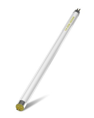 Lampenlampe T4 10W Leuchtstoffröhre 352MM G5 2-polig Sockelverschraubung T4 Hocheffizienz