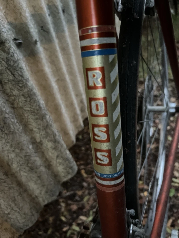 Ross Grand Prix 专业模型进口部门 日本制造 — 第 3/4 张图片