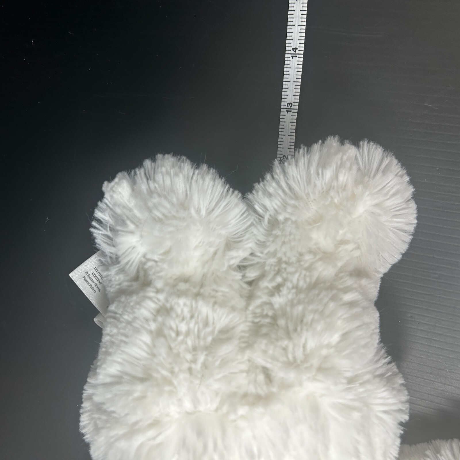 Foto 10 di 11