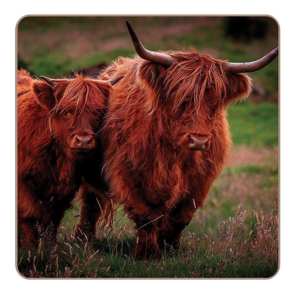 Highland Cows Set of 4 Coasters, Rural Roots, Cattle, Animals, Home COT2604X4