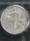 2009 American Silver Eagle 1 oz .999 Uncirculated Coin