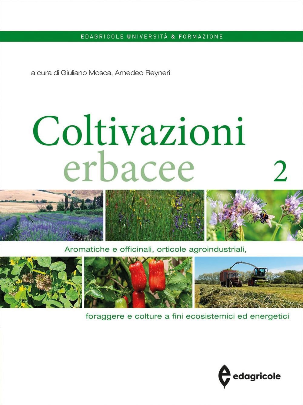 Amedeo Reyneri Giuli Coltivazioni erbacee (Vol. 2) (Università & fo (Paperback)