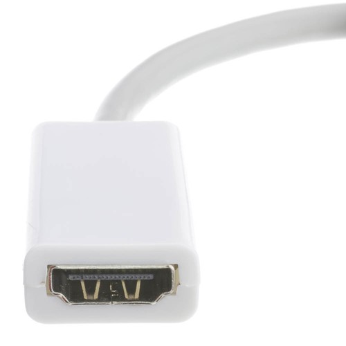 Mini-DVI to HDMI Adapter will allow you to use HDMI cables w/ mini-DVI port 4852 - Afbeelding 2 van 2