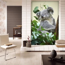 3D Gray Koala K850 Animal Wallpaper Mural Self-adhesive Removable Kay
