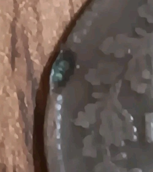 1867 OM Italy 10 Centesimi Victor Emmanuel II Civil War Era. Collectors Coin (J6 - Image 3 of 3