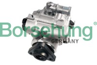 Borsehung Servopumpe Hydraulisch FüR Audi A4 Cabriolet 8H7 B6 8HE B7 8E5 B18225