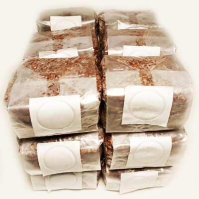 18 x 1 lb. Sterilized Rye Berries Mushroom Substrate Bags for Grain Spawn