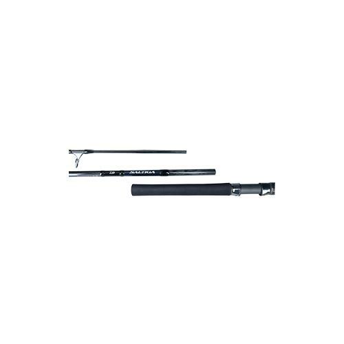 Daiwa 20 SALTIGA AIR PORTABLE C78-10 Spinning Rod | eBay