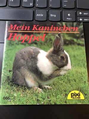 Pixi alt 666 Mein Kaninchen Hoppel