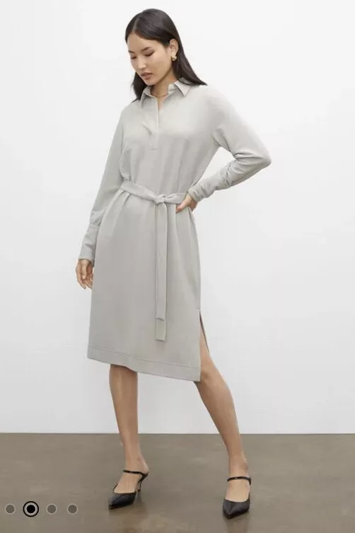 Club monaco shop shirt dress