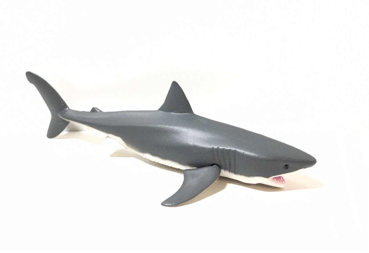 セール中　SHARK 豪華版　初回限定生産　5枚組　レア Amazon.co.jp: SHARK ~2nd Season~ Blu-ray BOX 豪華版(初回限定