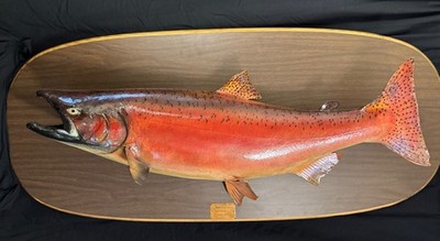 Chinook Mounted Salmon - 41.5 inches with Wooden Backing - Vintage - 1985