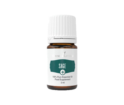 YOUNG LIVING | SALBEI Sage+ Kochen Salvia Minze 100% Ätherisches Öl 5 ml NEU