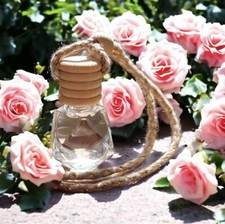 Car Diffuser, Set Of 4, Air Fresheners, Hanging Car Diffuser, Free Shipping