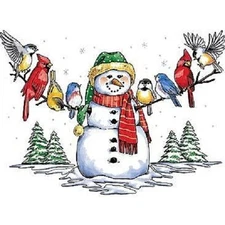 Snowman and Winter Birds  Tshirt   Sizes/Colors  