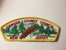 MINT CSP Camden County Council New Jersey T-1