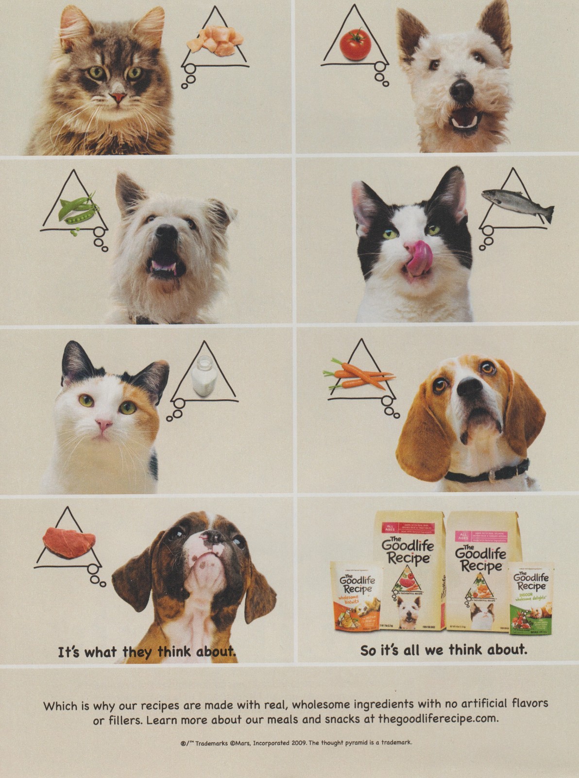 - Various Pets - Magazine Print Ad Photo