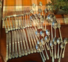 Vtg Wm Rogers & Son Silverplate Flatware Enchanted Rose 50 Pc Set Service for 10
