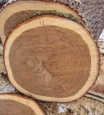 Baumscheibe Eiche 75-80cm Holzscheibe Tischplatte Dekoration 