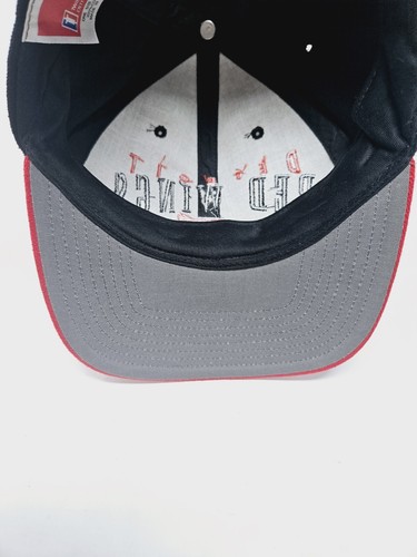 Vintage 90s Detroit Red Wings Snapback Hat Twin Enterprises NWT FAST SHIPPING - Picture 6 of 7