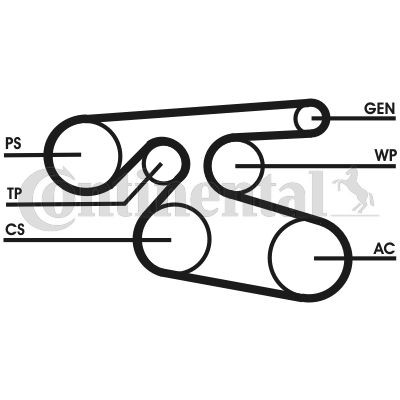 Keilrippenriemen Continental Ctam 7PK2000 FÜR Mercedes Poly V Riemen-image