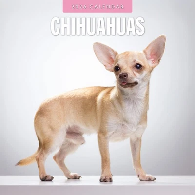 RED ROBIN PUBLISHING Chihuahuas 2026 Square Wall Calendar