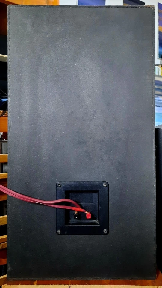 REVAC casse Acustiche - Immagine 4 di 4