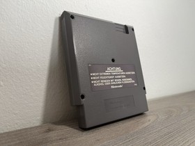 Clu Clu Land for Nintendo Entertainment System [NES]