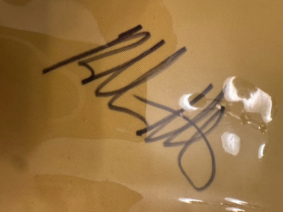 Nueva bandera de la Copa Ryder 2012 39 autografiada Fluff Cowan & Bubba Watson Medinah Foto 2 de 4