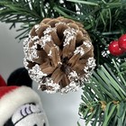 Foto 11 di 11