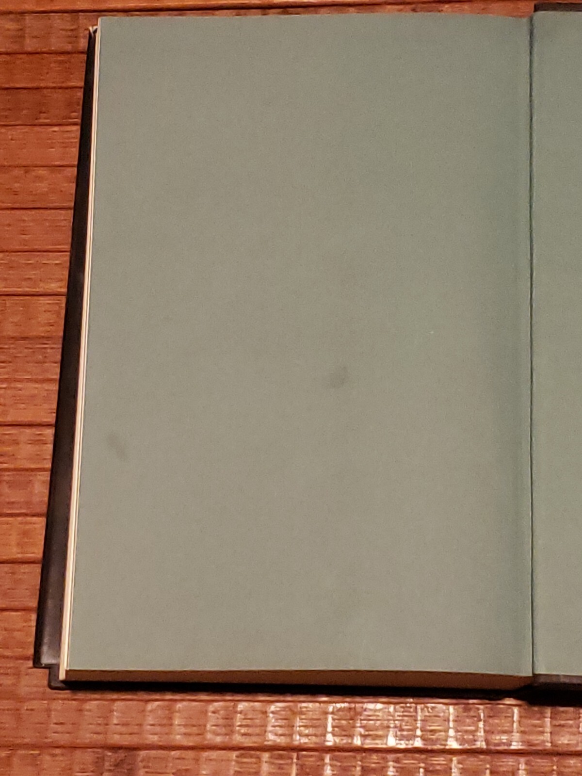 Picture 6 of 14