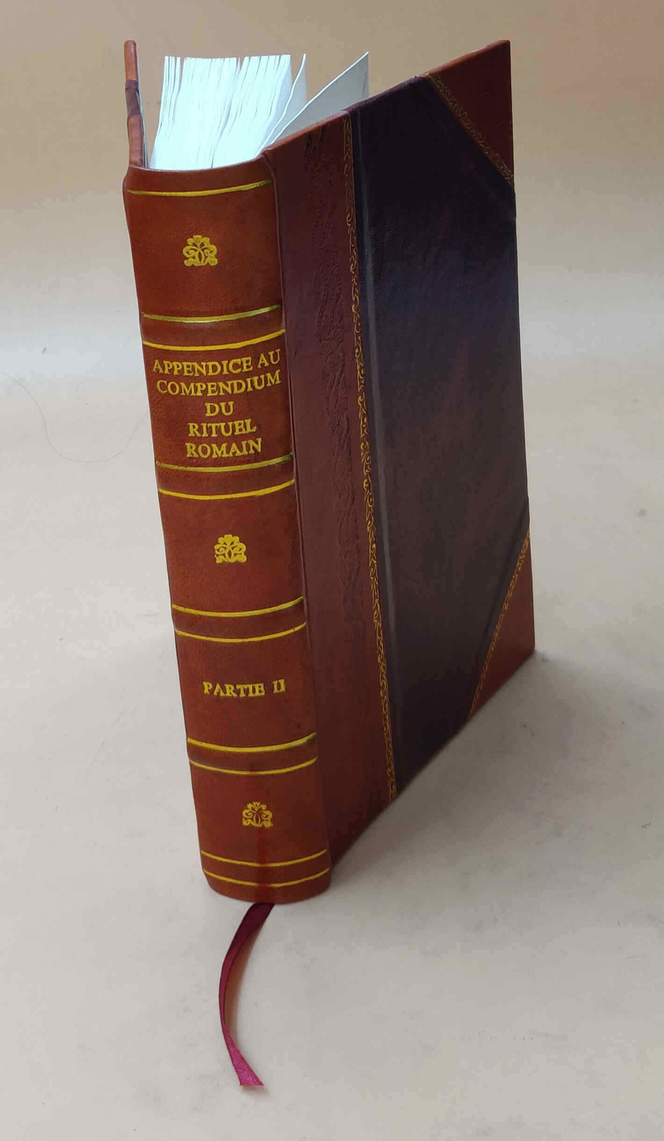 Appendice Au Compendium Du Rituel Romain Leather Bound Edition for Dioceses