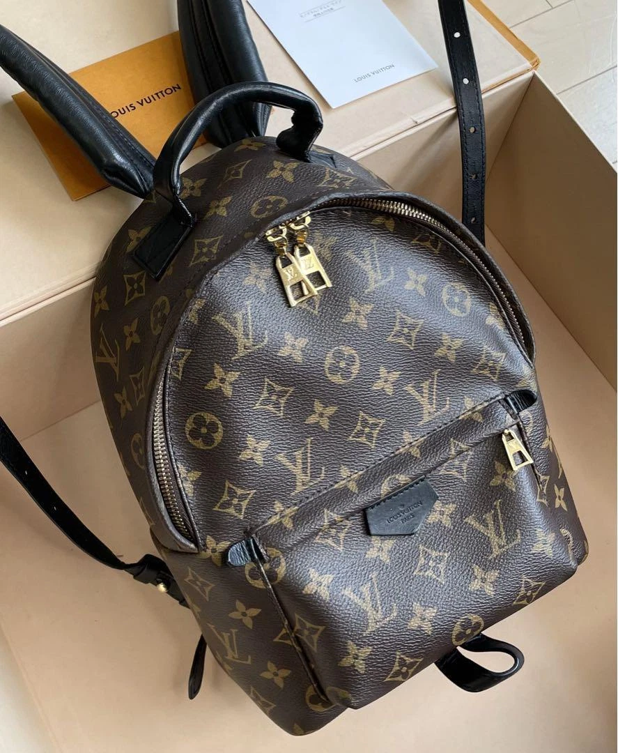 Louis Vuitton LV Women Palm Springs PM Backpack in Monogram