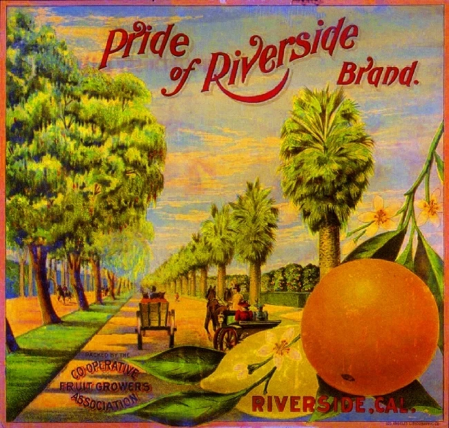 PRIDE OF RIVERSIDE Riverside California Pride of Magnolia Orange Citrus Fruit Crate Label Art Print