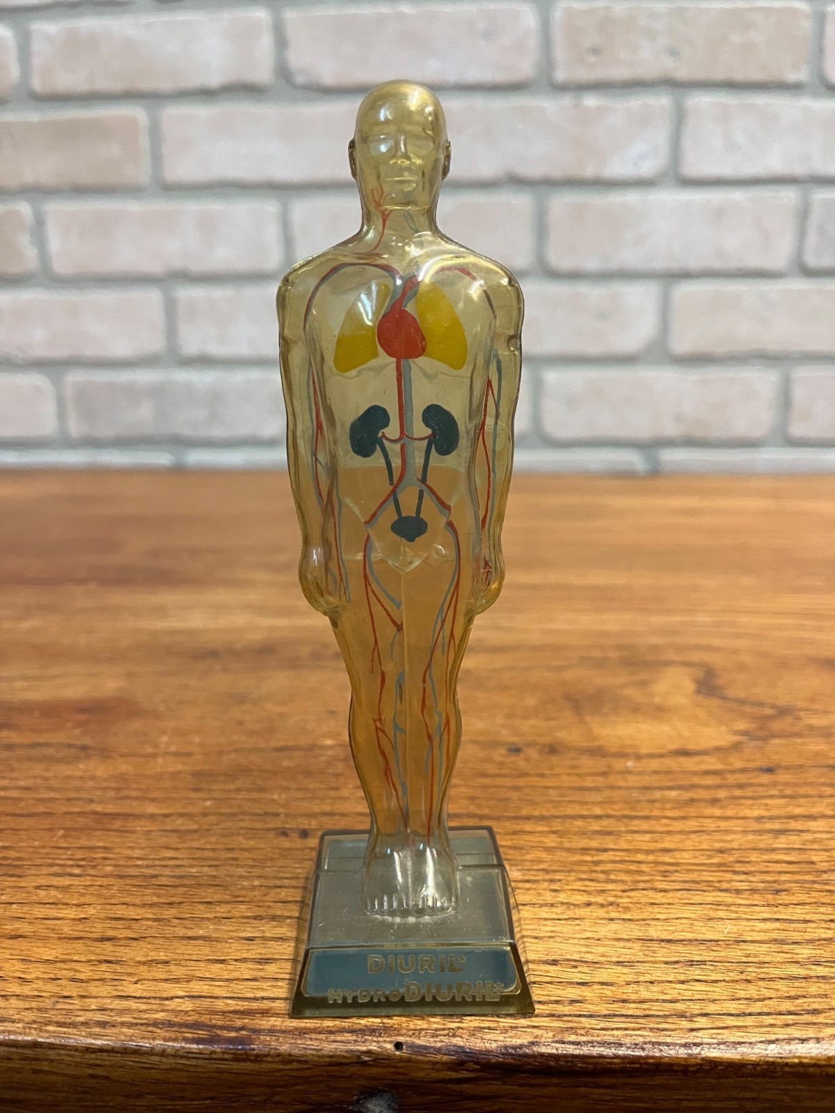 Vintage 1950s Hydro Diuril Merck Sharp Dohme Pharmaceutical Advertising Figure