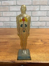 Vintage 1950s Hydro Diuril Merck Sharp Dohme Pharmaceutical Advertising Figure