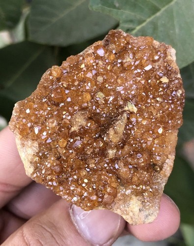 Natur Glanz Orange Grossular Var. hessonit cluster on matrix. - Bild 6 von 9