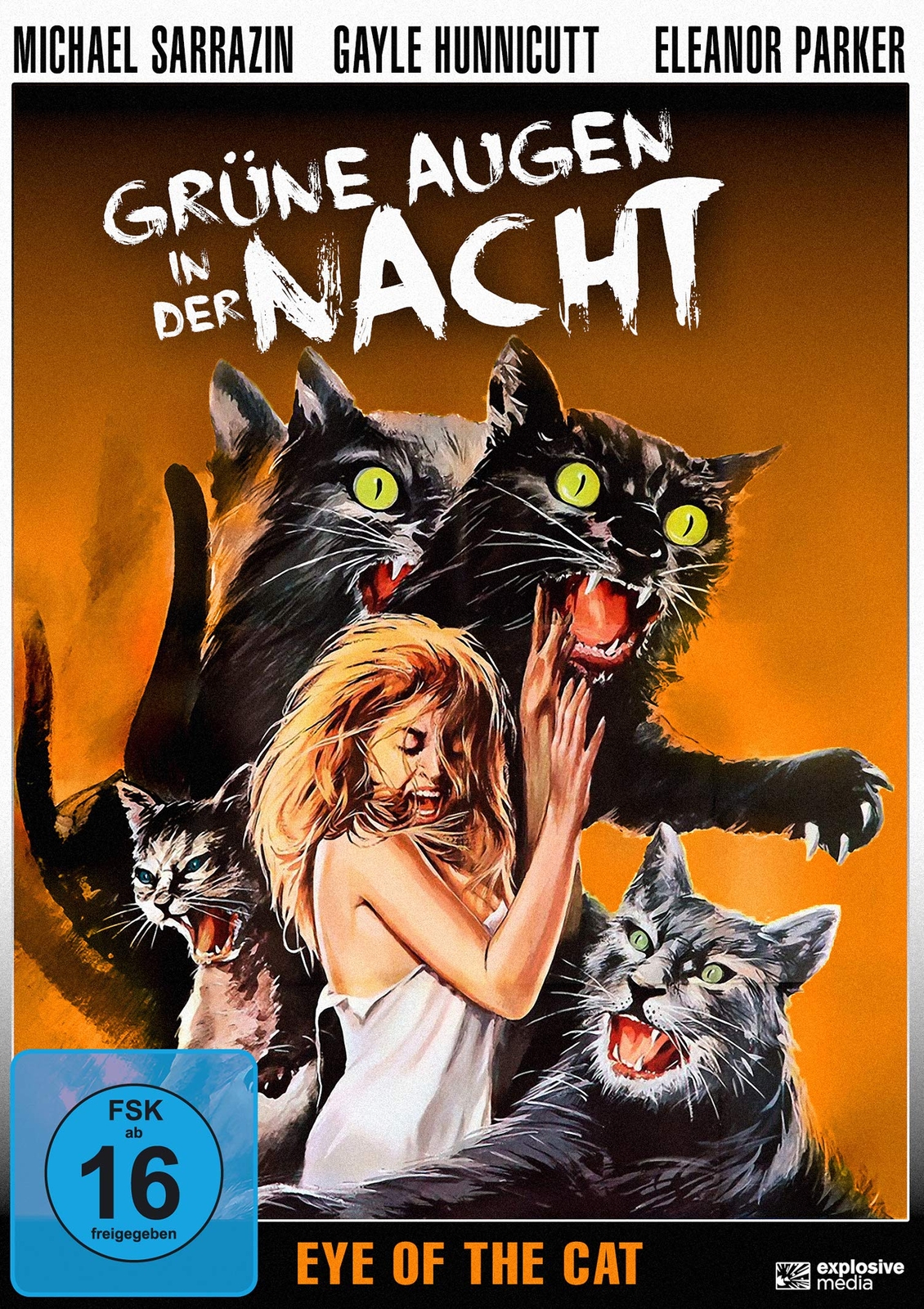 Grüne Augen in der Nacht (Eye of the Cat) (DVD)
