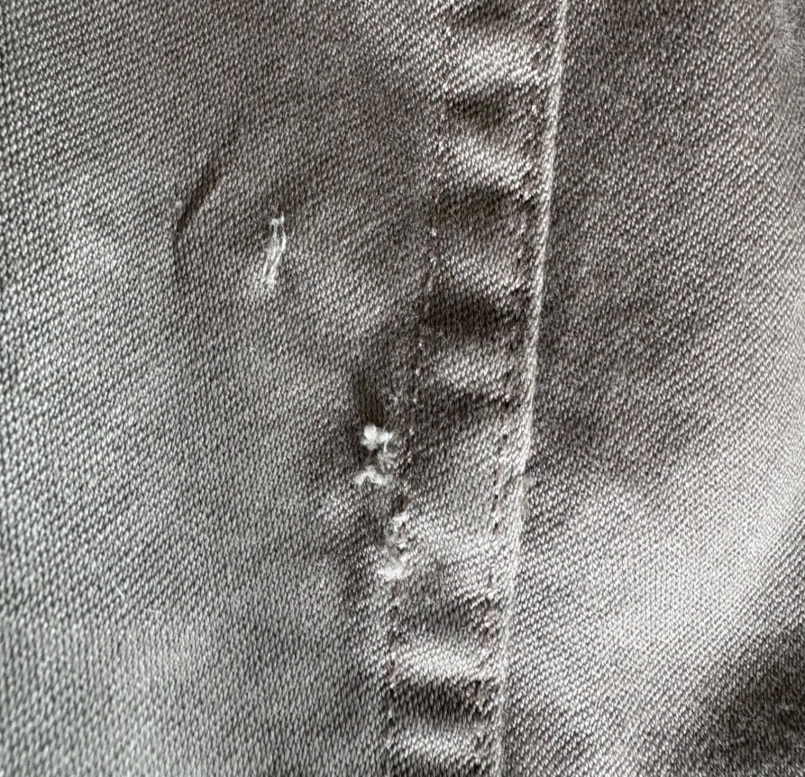 Picture 13 of 13