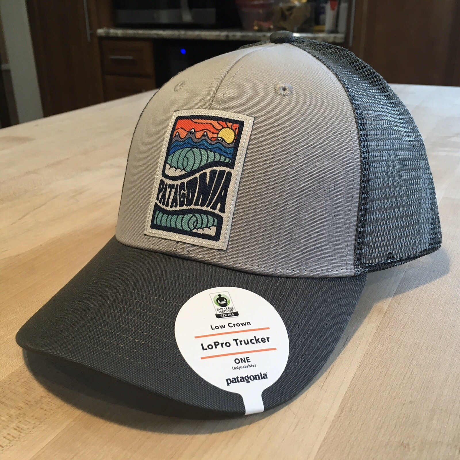 patagonia cosmic peaks lopro trucker hat