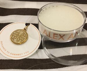 Authentic ALEX and ANI STERLING Silver & 14K GOLD PLATED PATH OF LIFE CHAIN STATION Charm