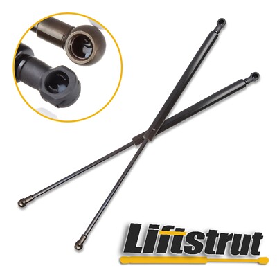 Liftgate Strut Assembly (Pair) - Fits 100/470 Rear Lift Gate Applications (EXTSTR10XR