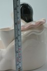 Bild 11 von 11