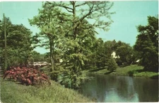 Leland Mississippi Beautiful Deer Creek Vintage Postcard