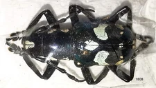 Cerambycidae Acronia alboplagiata MorF 18-20mm A1 from LEYTE - #1808