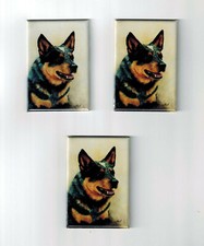 New Australian Cattle Dog Magnet Set 3 Magnets By Ruth Maystead MFR # ACD-4