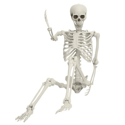 5.4FT Poseable Skeleton Prop Life Size Plastic Halloween Human Bones Skeleton
