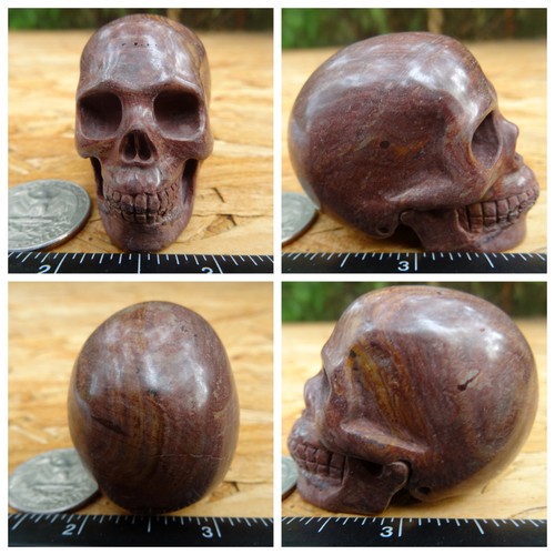 2.03" Brown Jasper Stone Skull Hand Carved Realistic 3.1oz 89.0g Crystal Healing - Picture 11 of 12