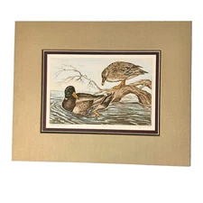 Mallard Ducks Signed #'d Vintage Art Print Lundquist 1989 Duck Nature